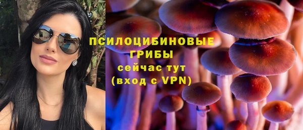 эйфоретик Алексеевка