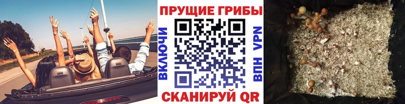 Псилоцибиновые грибы Psilocybine cubensis где купить Саянск