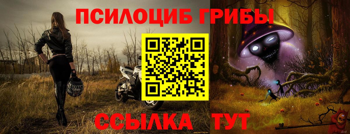 Саянск  Псилоцибиновые грибы мухоморы  Псилоцибиновые грибы GOLDEN TEACHER  Вход с VPN 
